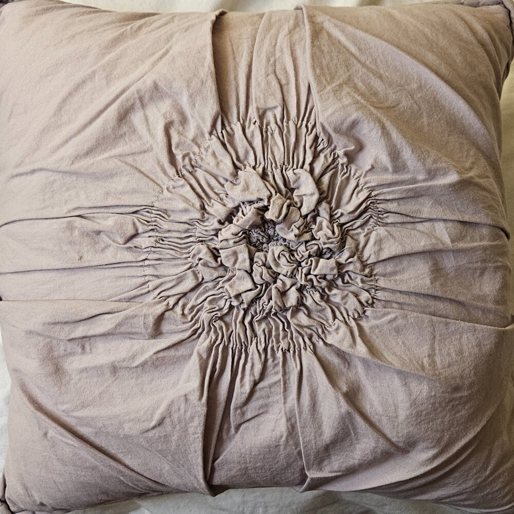 Lenox Home 14 x 14 Accent Pillow with Removeable Cover with Feather Insert